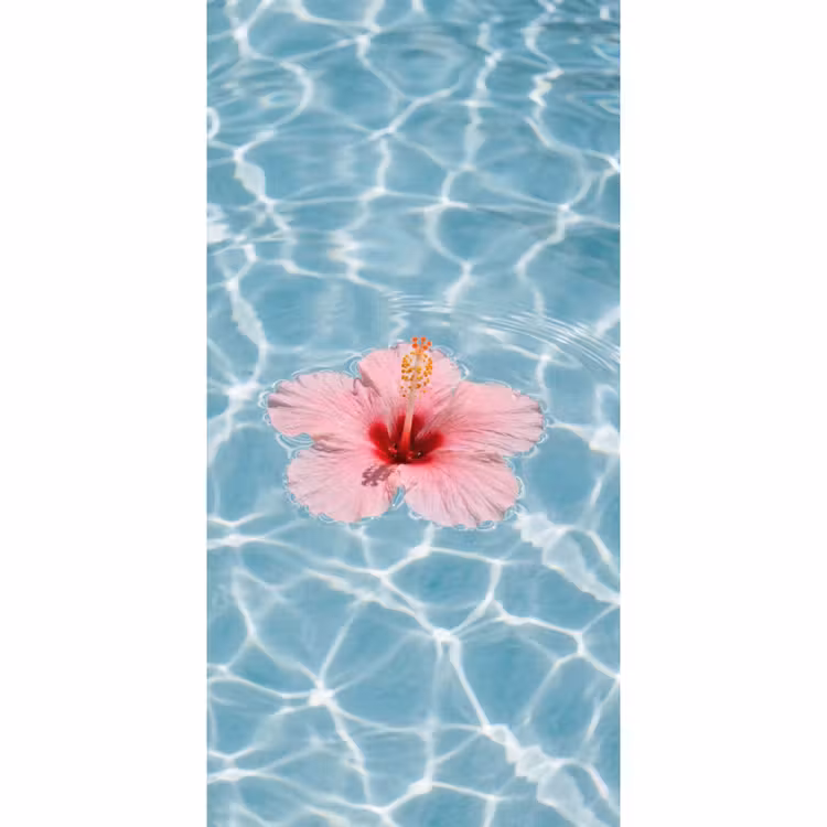 Hibiscus - Water - Roze Behang Vlies klein -3d_website