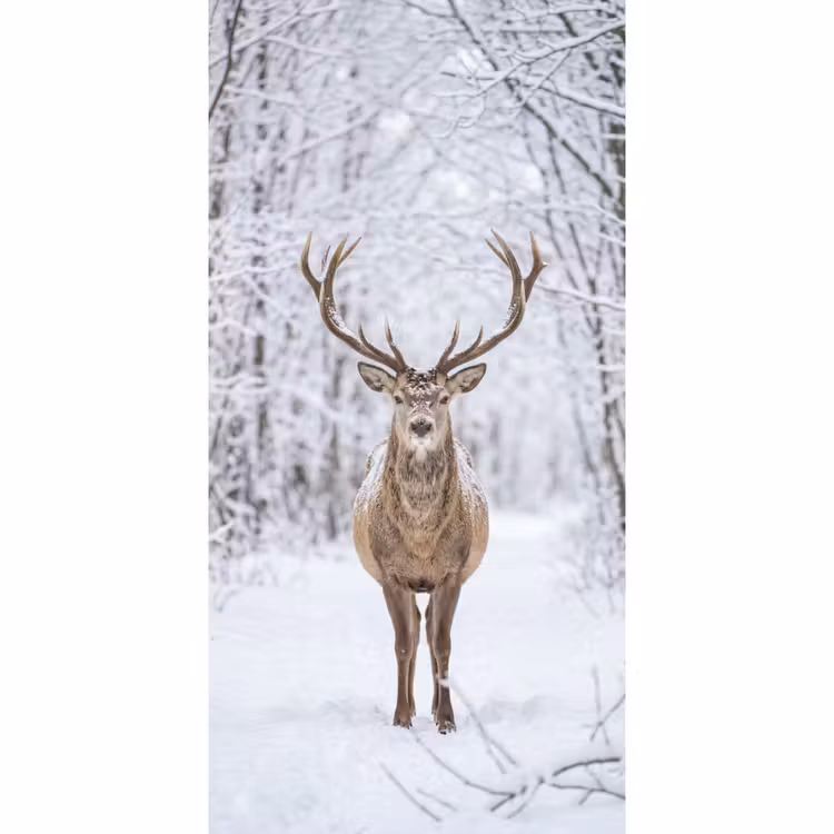 Hert - Winter - Bos - Natuur - Wit Behang Vlies klein -3d_website
