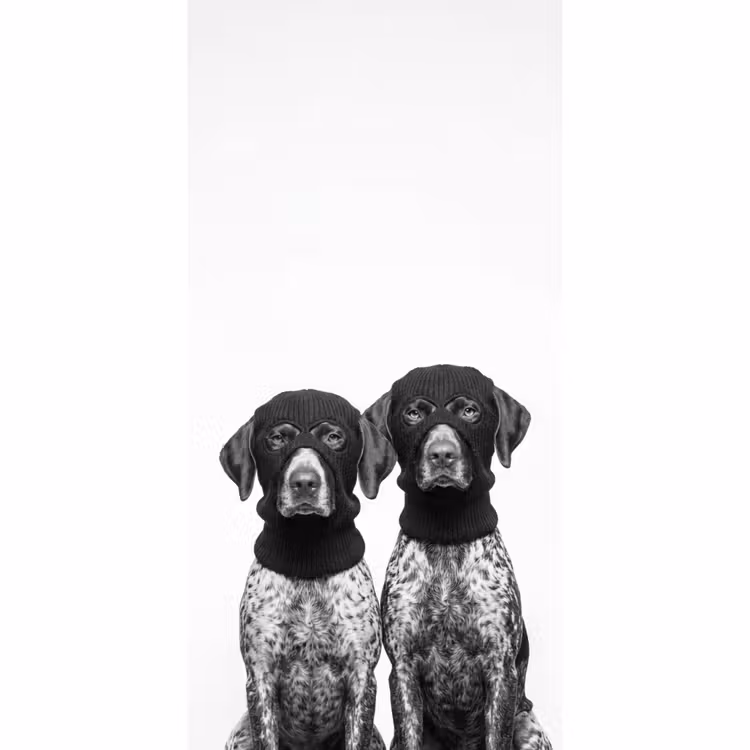Honden - Bivakmuts - Zwart - wit Behang Vlies klein -3d_website