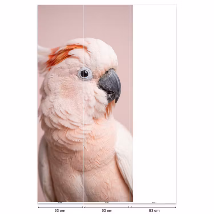 Kaketoe - Portret - Roze Behang Vlies klein -USP_banen