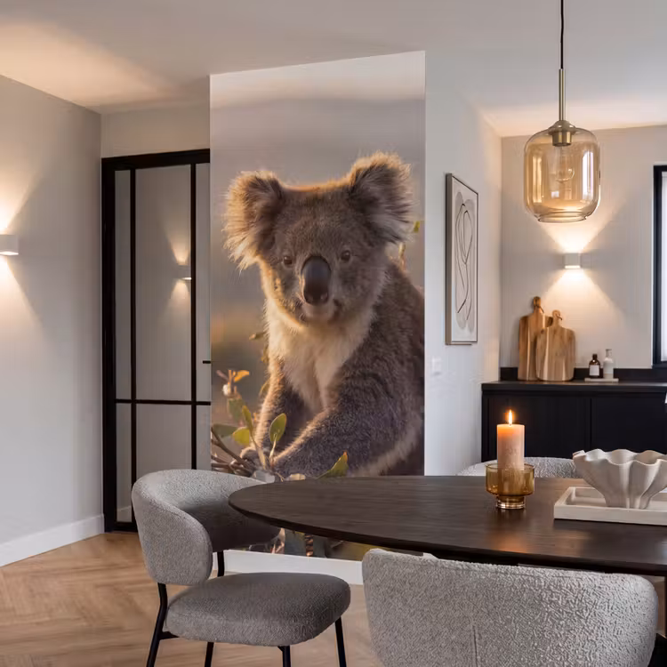 Koala - Bladeren - Ochtendlicht Behang Vlies klein -sfeer3