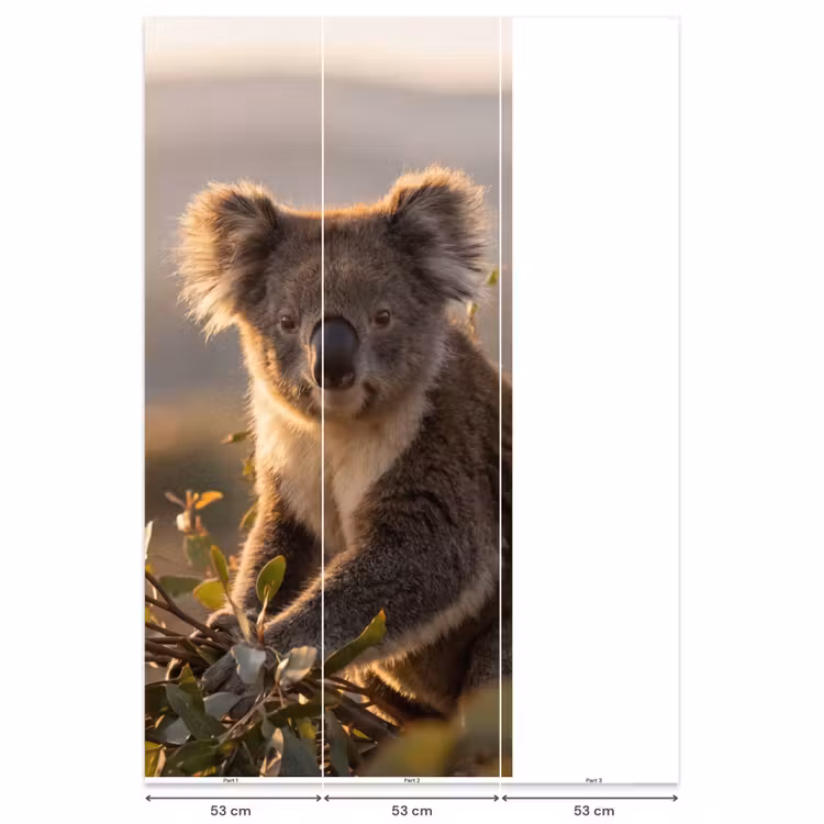 Koala - Bladeren - Ochtendlicht Behang Vlies klein -USP_banen