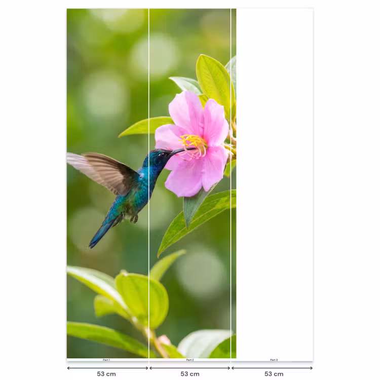 Kolibrie - Bloem - Natuur - Groen Behang Vlies klein -USP_banen
