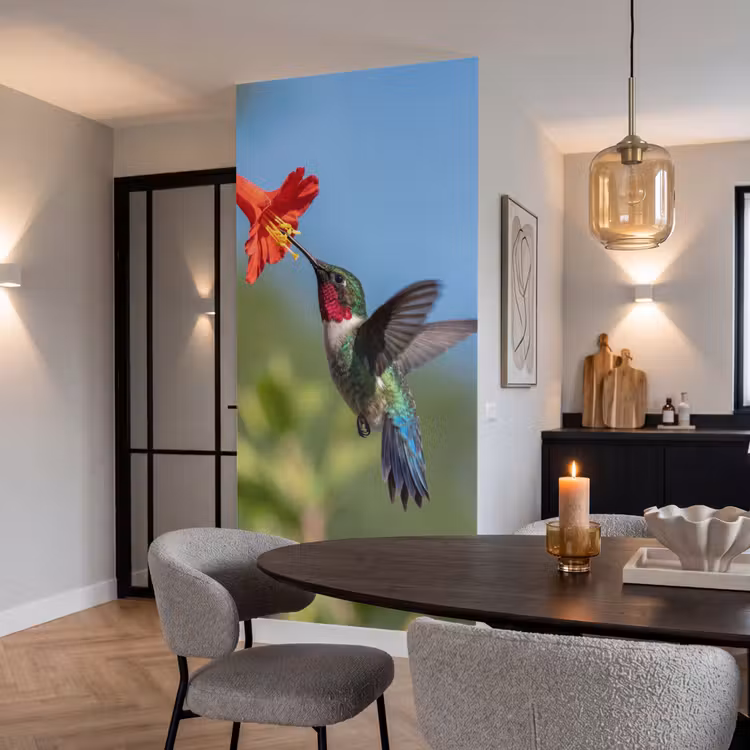Kolibrie - Bloem - Natuur - Groen Behang Vlies klein -sfeer3