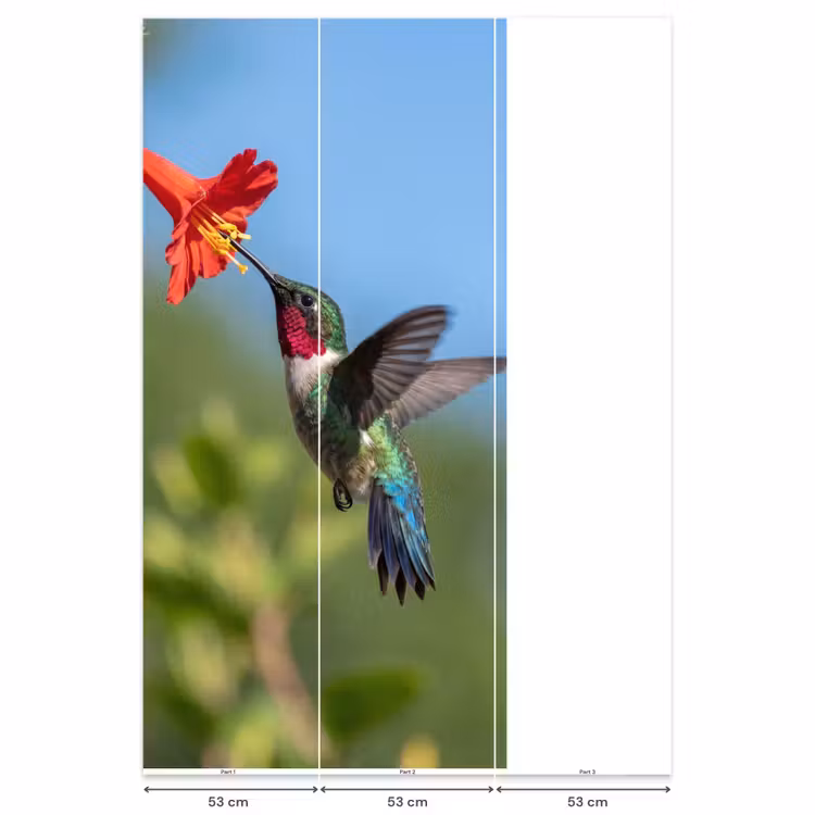 Kolibrie - Bloem - Natuur - Groen Behang Vlies klein -USP_banen