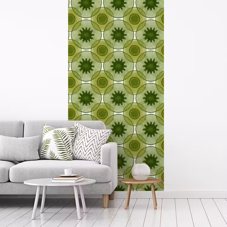 Cirkels - Patroon - Groen fotobehang vinyl groot 64 -woonkamer