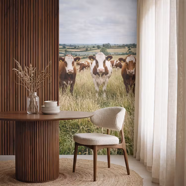 Koeien - Portret - Weide - Boerderij - Nieuwsgierig Behang Vlies klein -sfeer1
