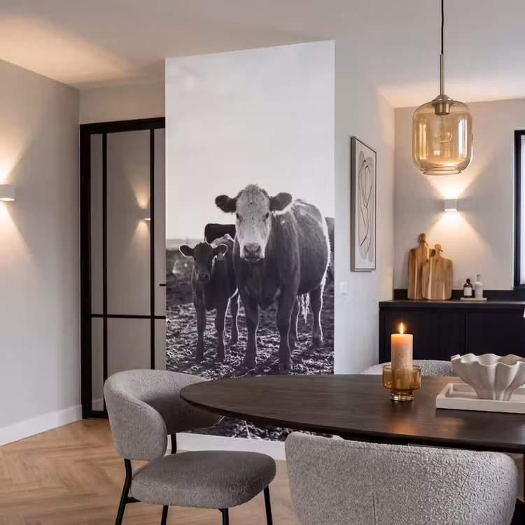 Koeien - Zwart - Wit Behang Vlies klein -sfeer3