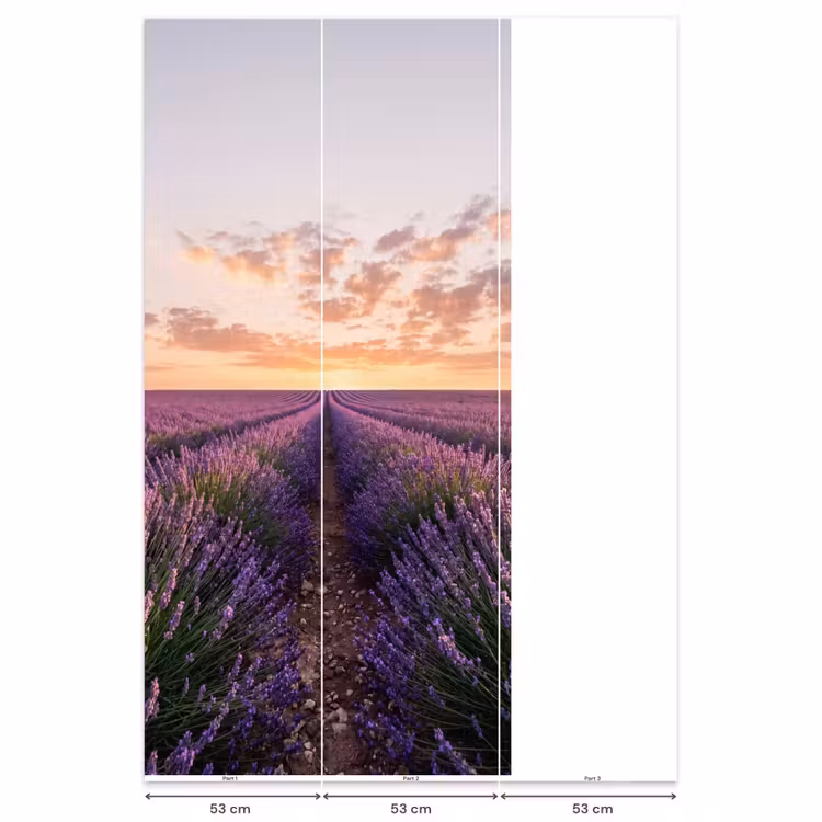 Landschap - Lavendelveld - Paars Behang Vlies klein -USP_banen