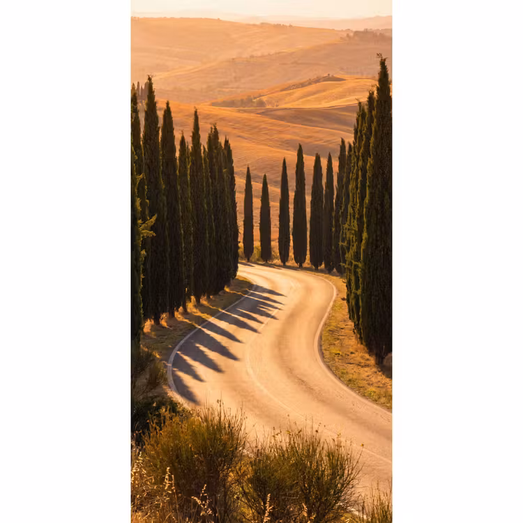 Landschap - Weg - Bomen - Natuur - Goud Behang Vlies klein -3d_website