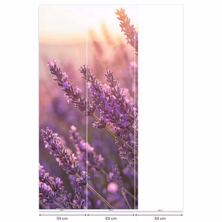 Lavendel - Paars - Zonlicht Behang Vlies klein -USP_banen