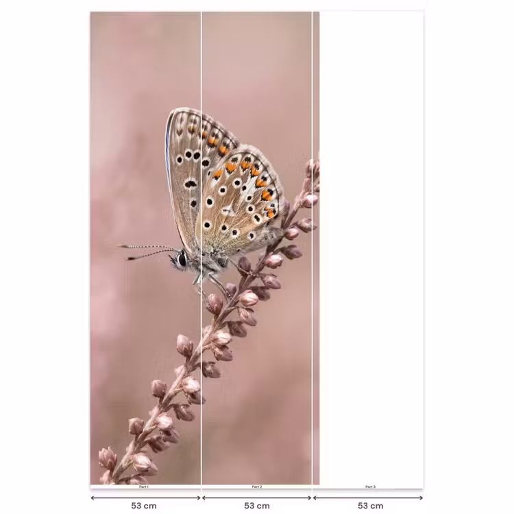 Lavendel - Vlinder - Paars Behang Vlies klein -USP_banen