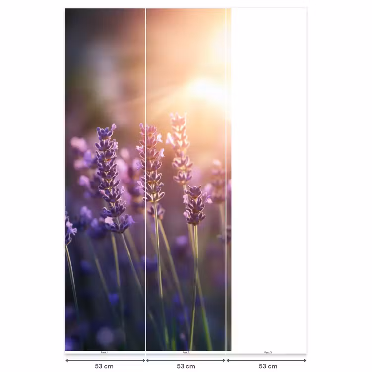 Lavendelbloemen - Paars - Zonlicht Behang Vlies klein -USP_banen