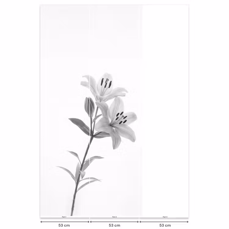 Lelies - Elegant - Zwart - Wit Behang Vlies klein -USP_banen