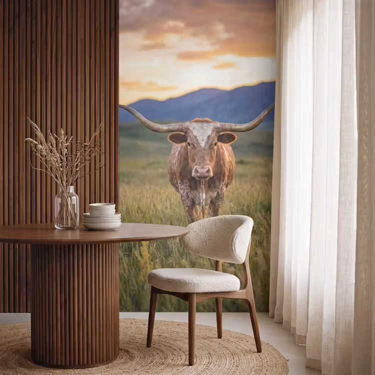 Longhorn - Landschap - Zonsondergang Behang Vlies klein -sfeer1