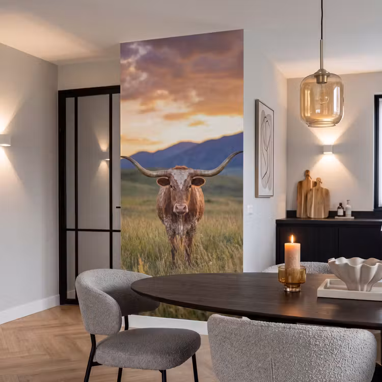 Longhorn - Landschap - Zonsondergang Behang Vlies klein -sfeer3