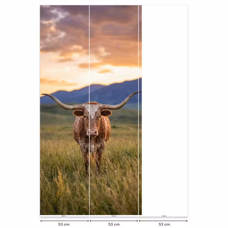Longhorn - Landschap - Zonsondergang Behang Vlies klein -USP_banen