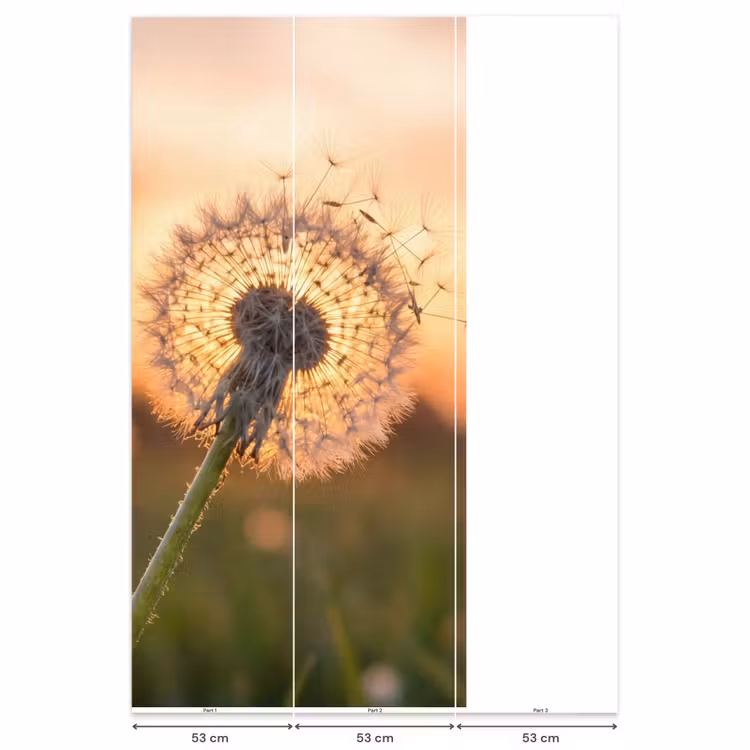 Paardenbloem - Zonsondergang - Veld Behang Vlies klein -USP_banen