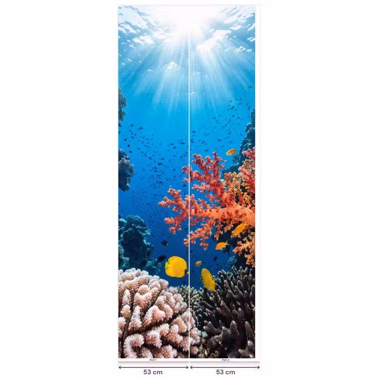 Zee - Koraalrif - Natuur - Levendig - Blauw Behang Vlies klein -USP_banen