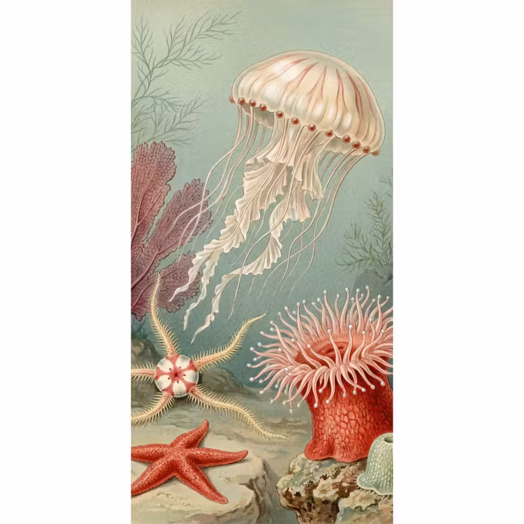 Zeeleven - Kwal - Onderwater - Illustratie - Beige Behang Vlies klein -3d_website