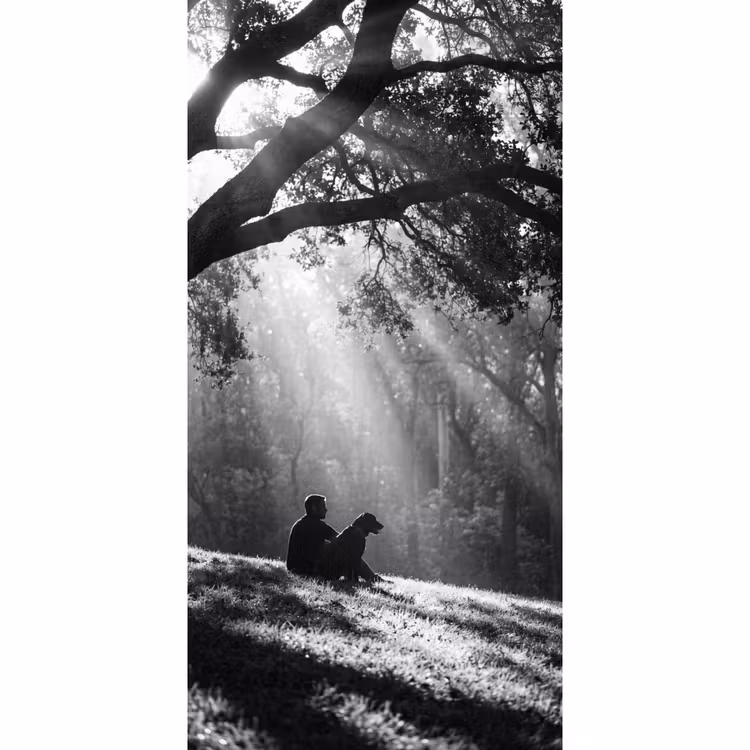 Mens - Hond - Natuur - Zwart-wit - Silhouet Behang Vlies klein -3d_website