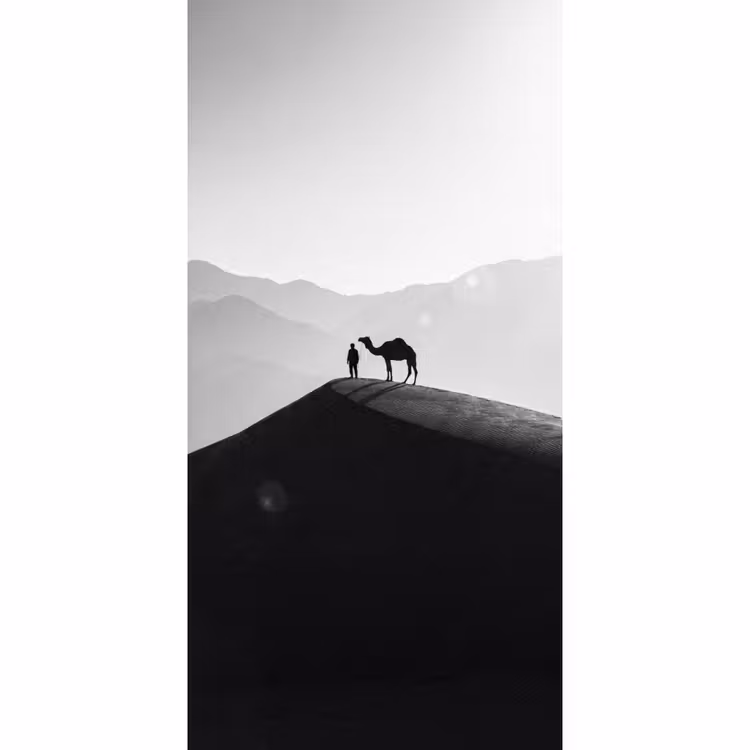 Mens - Kameel - Zandduin - Natuur - Monochroom Behang Vlies klein -3d_website