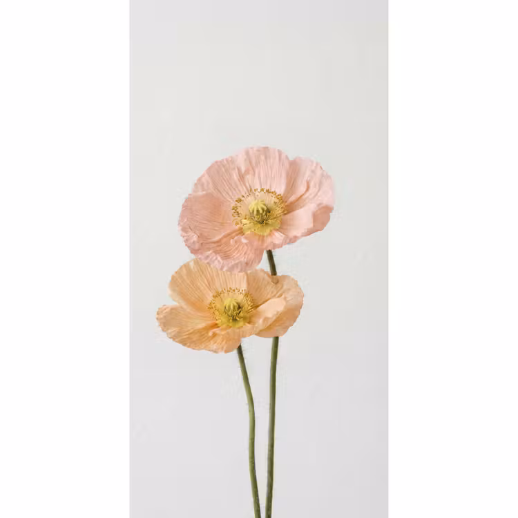 Papavers - Botanisch - Roze Behang Vlies klein -3d_website
