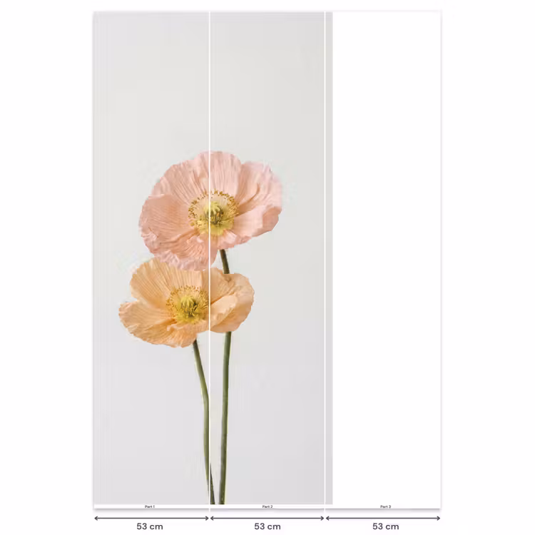 Papavers - Botanisch - Roze Behang Vlies klein -USP_banen