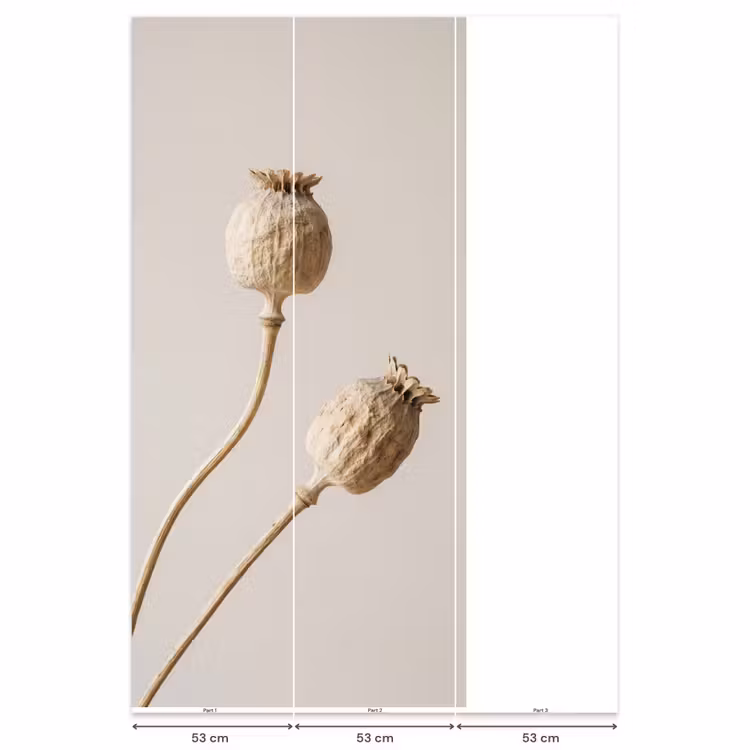 Papaverbollen - Droogbloemen - Minimalistisch - Beige - Rustig Behang Vlies klein -USP_banen