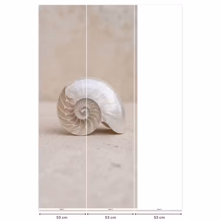 Schelp - Spiraal - Beige Behang Vlies klein -USP_banen