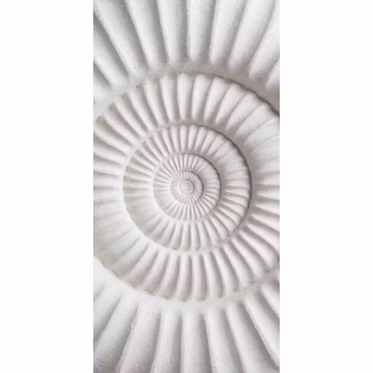 Schelp - Spiraal - Wit Behang Vlies klein -3d_website