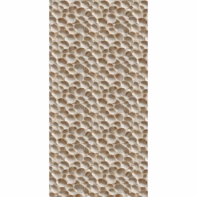 Schelpen - Waaiervorm - Wit Behang Vlies klein 1076 -3d_website