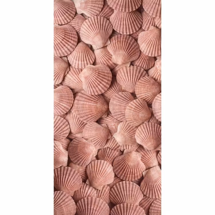 Schelpen - Patroon - Roze Behang Vlies klein -3d_website