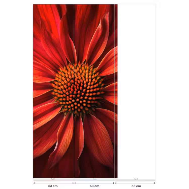 Close up - Bloem- Rood Behang Vlies klein -USP_banen
