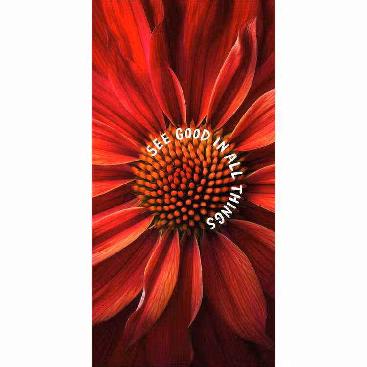 Close up - Bloem - Quote - Rood Behang Vlies klein -3d_website
