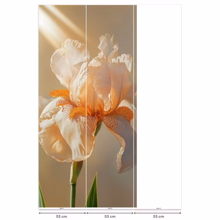 Close up - Oranje - Iris Behang Vlies klein -USP_banen