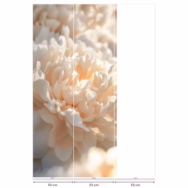 Close up - Pioenroos - Lichtroze Behang Vlies klein -USP_banen