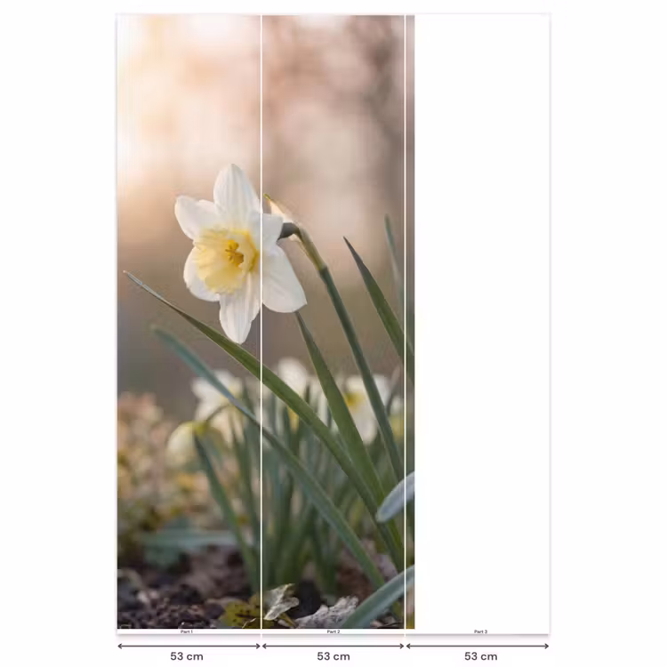 Narcis - Bloem - Minimalistisch Behang Vlies klein -USP_banen