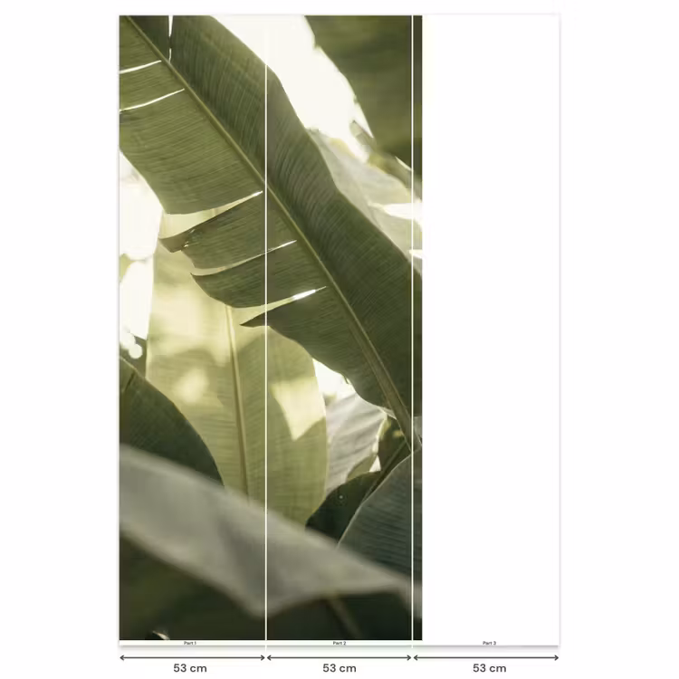 Natuur - Bladeren - Groen - Tropisch - Detail Behang Vlies klein -USP_banen