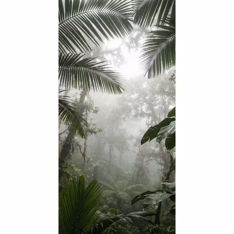 Natuur - Jungle - Mist - Groen - Bladeren Behang Vlies klein -3d_website