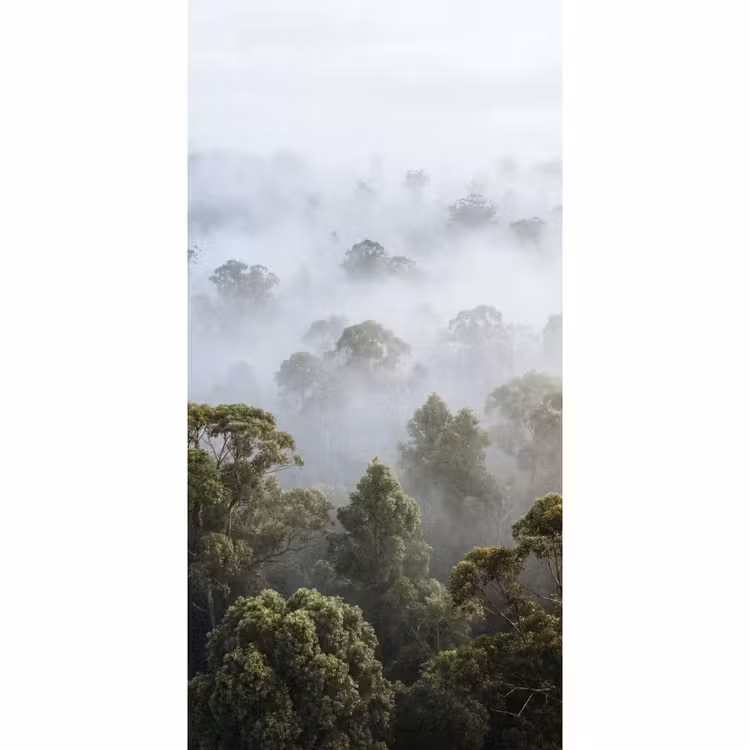 Natuur - Mist - Bos - Ochtend - Goud Behang Vlies klein -3d_website