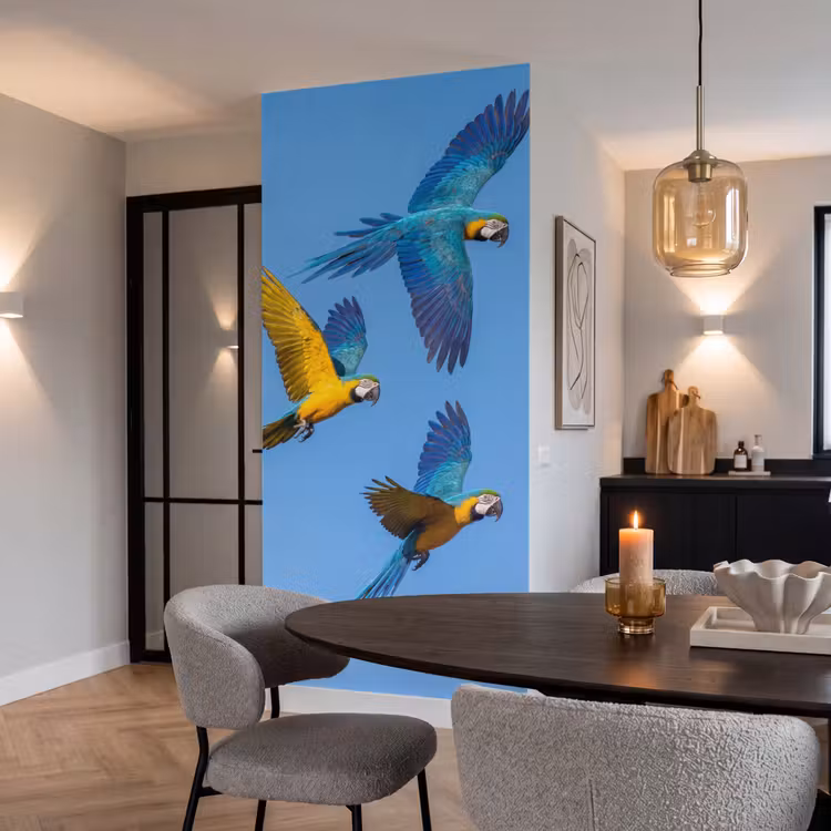 Papagaai - Vliegen - Blauw - Geel Behang Vlies klein -sfeer3