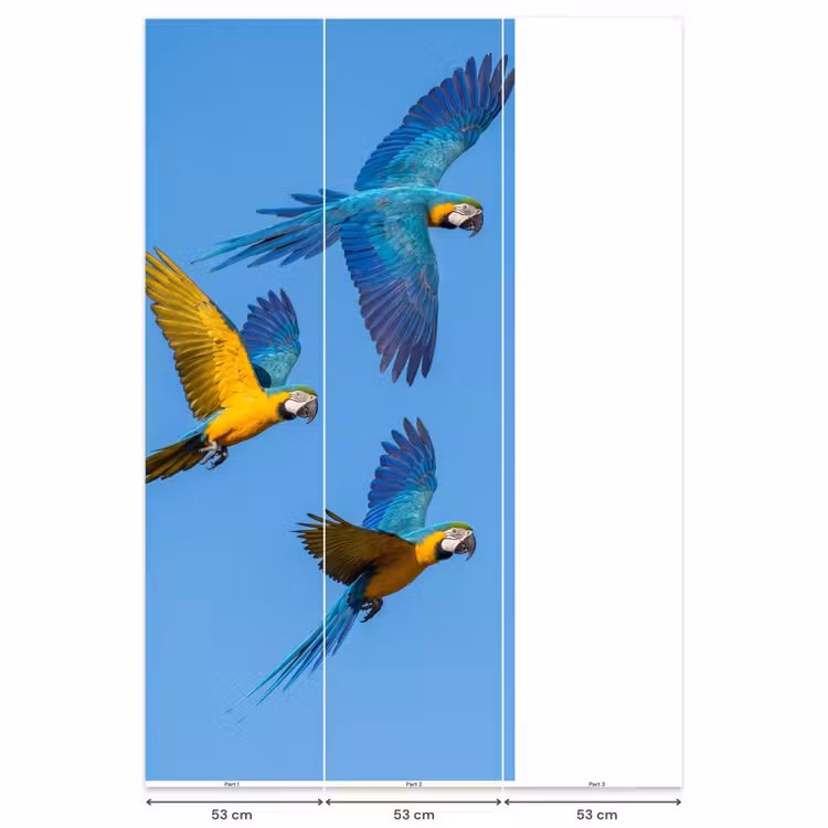 Papagaai - Vliegen - Blauw - Geel Behang Vlies klein -USP_banen