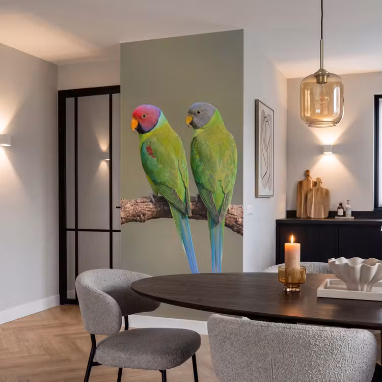 Papagaai - Tak - Natuur - Kleurrijk Behang Vlies klein -sfeer3