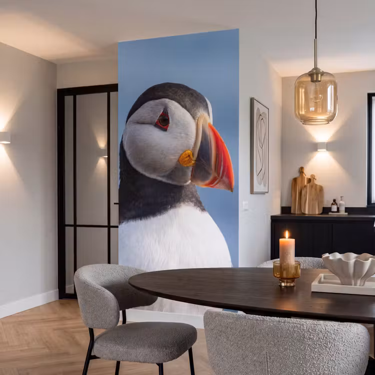 Papegaaiduiker - Portret - Natuur Behang Vlies klein -sfeer3