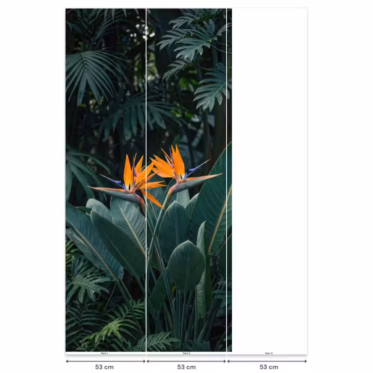 Paradijsvogel - Bloem - Exotisch Behang Vlies klein -USP_banen