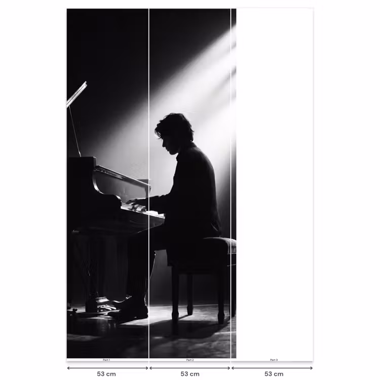 Persoon - Piano - Muziek - Zwart-wit - Podium Behang Vlies klein -USP_banen
