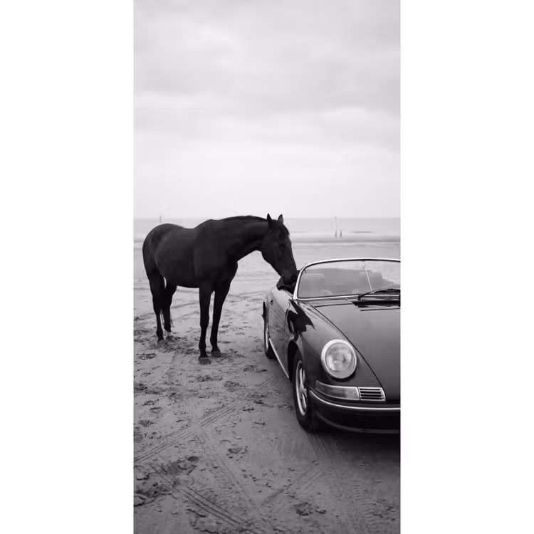 Paard - Auto - Zwart - Wit Behang Vlies klein -3d_website
