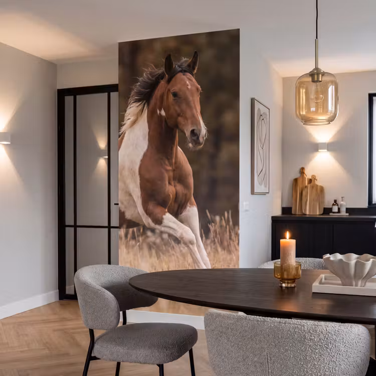 Paard - Bruin - Gras Behang Vlies klein -sfeer3
