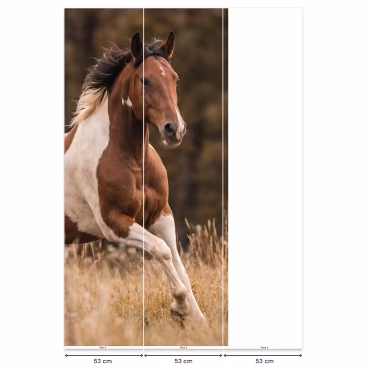 Paard - Bruin - Gras Behang Vlies klein -USP_banen